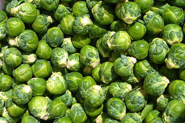 Brussels Sprout