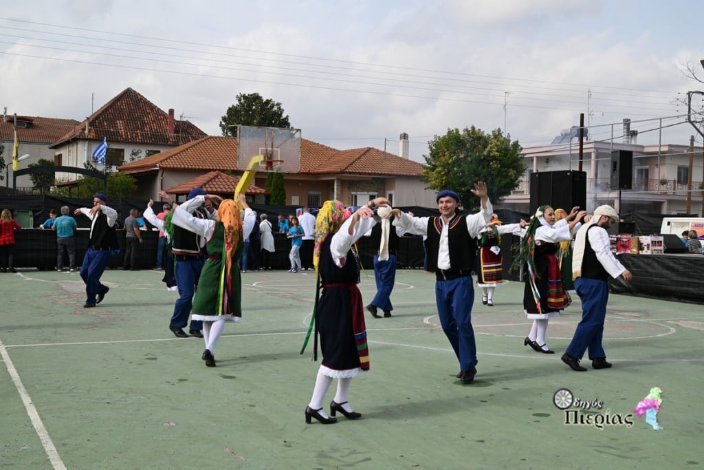 Giorti Tsipourou Korinos Odigos Pierias 20