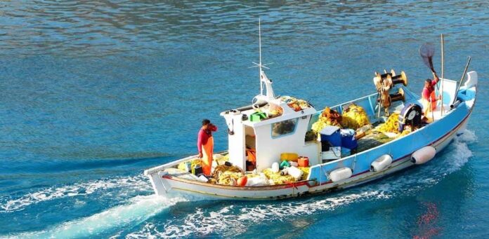 Fishing Boats 696X341 1